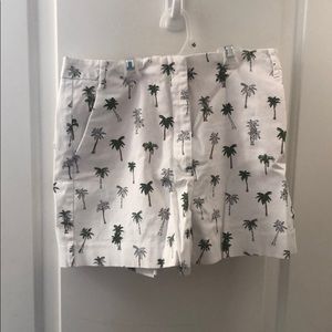 zara palm tree shorts